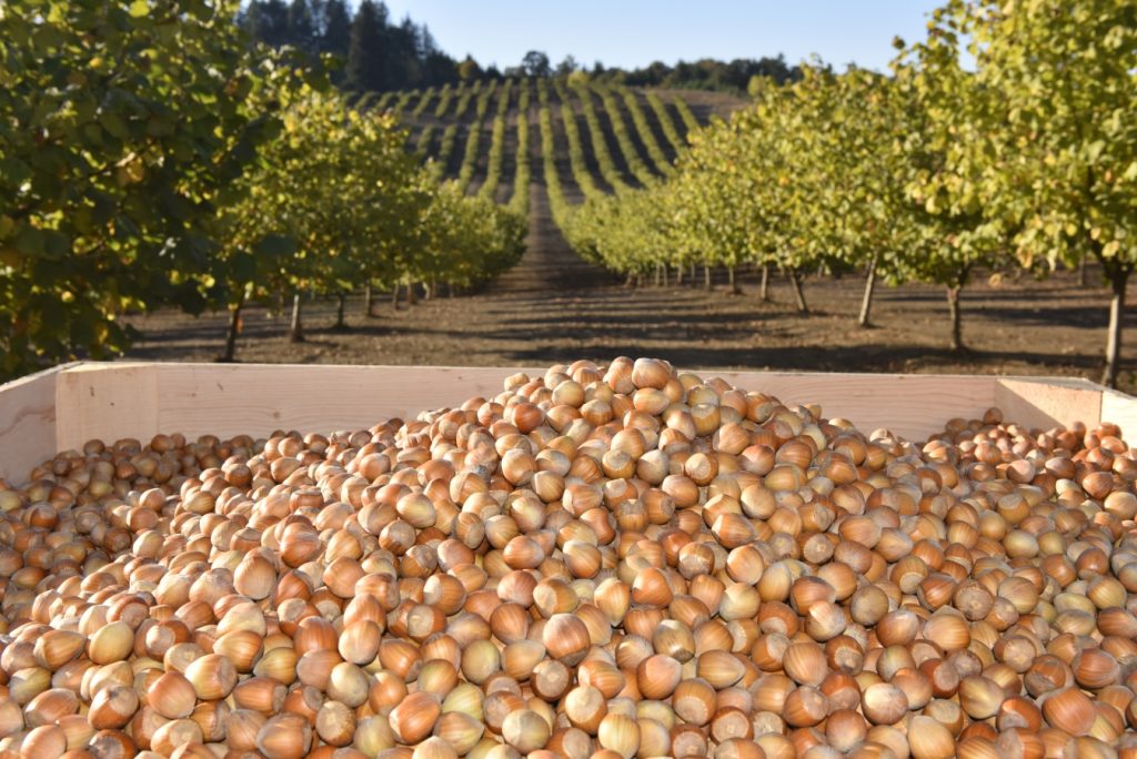 Quality & Certifications Northwest Hazelnut Company